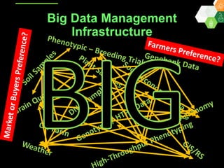 ICRISAT Global Planning Meeting 2019: Research Data Management by Abhishek Rathore