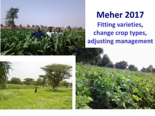 ICRISAT Global Planning Meeting 2019: Developing Resilient Dryland systems in ESA through Integrated Watershed Management by Tilahun and team