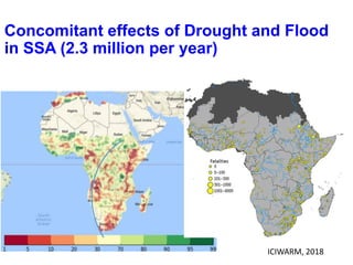 ICRISAT Global Planning Meeting 2019: Developing Resilient Dryland systems in ESA through Integrated Watershed Management by Tilahun and team
