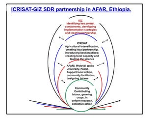 ICRISAT Global Planning Meeting 2019: Developing Resilient Dryland systems in ESA through Integrated Watershed Management by Tilahun and team