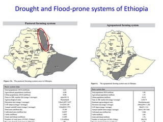 ICRISAT Global Planning Meeting 2019: Developing Resilient Dryland systems in ESA through Integrated Watershed Management by Tilahun and team