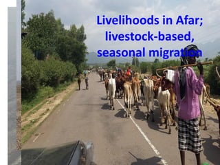 ICRISAT Global Planning Meeting 2019: Developing Resilient Dryland systems in ESA through Integrated Watershed Management by Tilahun and team