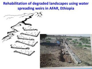 ICRISAT Global Planning Meeting 2019: Developing Resilient Dryland systems in ESA through Integrated Watershed Management by Tilahun and team