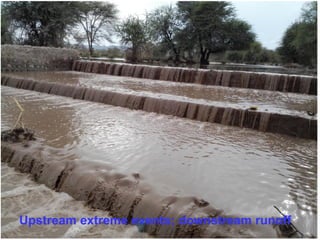ICRISAT Global Planning Meeting 2019: Developing Resilient Dryland systems in ESA through Integrated Watershed Management by Tilahun and team