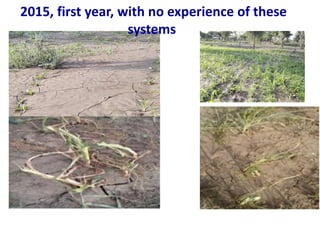 ICRISAT Global Planning Meeting 2019: Developing Resilient Dryland systems in ESA through Integrated Watershed Management by Tilahun and team