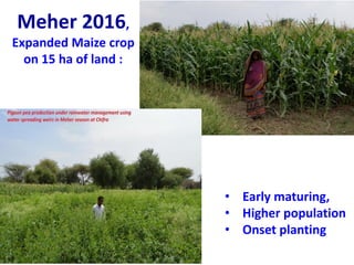 ICRISAT Global Planning Meeting 2019: Developing Resilient Dryland systems in ESA through Integrated Watershed Management by Tilahun and team