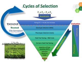 ICRISAT Global Planning Meeting 2019:  Modernising ICRISAT Crop Improvement & Adapting Industry-Proven Processes for Public Institutions by  Jan Debaene