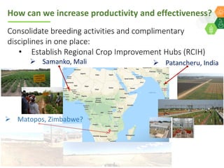 ICRISAT Global Planning Meeting 2019:  Modernising ICRISAT Crop Improvement & Adapting Industry-Proven Processes for Public Institutions by  Jan Debaene