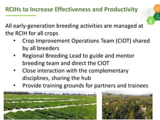 ICRISAT Global Planning Meeting 2019:  Modernising ICRISAT Crop Improvement & Adapting Industry-Proven Processes for Public Institutions by  Jan Debaene