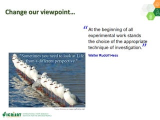 ICRISAT Global Planning Meeting 2019:  Modernising ICRISAT Crop Improvement & Adapting Industry-Proven Processes for Public Institutions by  Jan Debaene