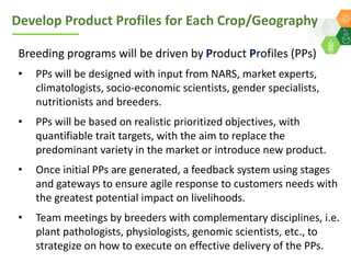 ICRISAT Global Planning Meeting 2019:  Modernising ICRISAT Crop Improvement & Adapting Industry-Proven Processes for Public Institutions by  Jan Debaene
