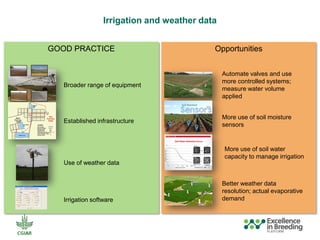 ICRISAT Global Planning Meeting 2019:  Modernising ICRISAT Crop Improvement & Adapting Industry-Proven Processes for Public Institutions by  Jan Debaene