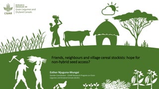 Friends, neighbours and village cereal stockists: hope for
non-hybrid seed access?
Esther Njuguna-Mungai
Gender Coordinator - CGIAR Research Program on Grain
Legumes and Dryland Cereals (GLDC)
 