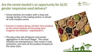 Friends, neighbours and village cereal stockists: hope for non-hybrid seed access?