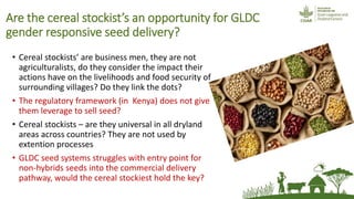 Friends, neighbours and village cereal stockists: hope for non-hybrid seed access?