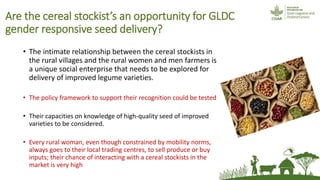 Friends, neighbours and village cereal stockists: hope for non-hybrid seed access?