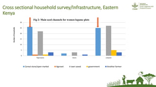 Friends, neighbours and village cereal stockists: hope for non-hybrid seed access?