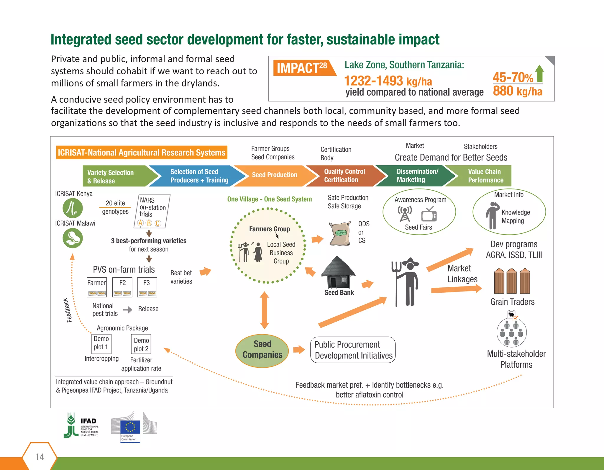 14
Integrated seed sector development for faster, sustainable impact
ICRISAT-National Agricultural Research Systems
Variety Selection
& Release
ICRISAT Kenya
20 elite
genotypes
NARS
on-station
trials
A B C
Farmer
Best bet
varieties
National
pest trials
Release
Agronomic Package
Intercropping Fertilizer
application rate
Integrated value chain approach – Groundnut
& Pigeonpea IFAD Project, Tanzania/Uganda
Demo
plot 1
Demo
plot 2
F2 F3
3 best-performing varieties
for next season
PVS on-farm trials
ICRISAT Malawi
Feedback
Farmer Groups
Seed Companies
Selection of Seed
Producers + Training
Seed Production Quality Control
Certification
Dissemination/
Marketing
Value Chain
Performance
Certification
Body
Market
Create Demand for Better Seeds
Stakeholders
Market info
Knowledge
Mapping
Seed Fairs
Awareness ProgramSafe Production
Safe Storage
Farmers Group
One Village - One Seed System
Local Seed
Business
Group
QDS
or
CS
Feedback market pref. + Identify bottlenecks e.g.
better aflatoxin control
Seed
Companies
Public Procurement
Development Initiatives
Market
Linkages
Dev programs
AGRA, ISSD, TLIII
Grain Traders
Multi-stakeholder
Platforms
Seed Bank
Private and public, informal and formal seed
systems should cohabit if we want to reach out to
millions of small farmers in the drylands.
A conducive seed policy environment has to
Lake Zone, Southern Tanzania:
yield compared to national average
IMPACT28
880 kg/ha
1232-1493 kg/ha 45-70%
facilitate the development of complementary seed channels both local, community based, and more formal seed
organizations so that the seed industry is inclusive and responds to the needs of small farmers too.
 