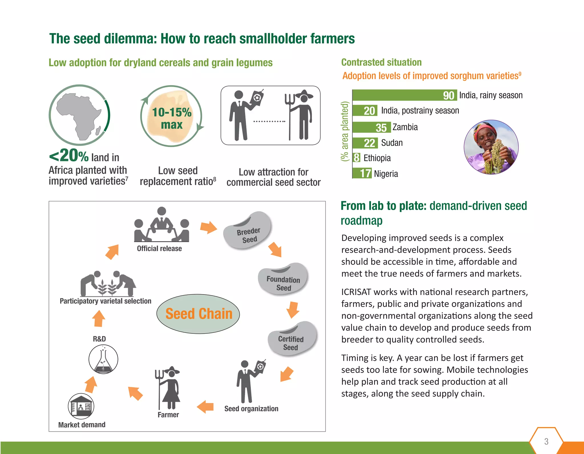 Low adoption for dryland cereals and grain legumes Contrasted situation
3
Adoption levels of improved sorghum varieties9
90
20
35
22
17
8
India, rainy season
India, postrainy season
Zambia
Nigeria
Sudan
Ethiopia<20% land in
Africa planted with
improved varieties7
Low seed
replacement ratio8
Low attraction for
commercial seed sector
From lab to plate: demand-driven seed
roadmap
The seed dilemma: How to reach smallholder farmers
Developing improved seeds is a complex
research-and-development process. Seeds
should be accessible in time, affordable and
meet the true needs of farmers and markets.
ICRISAT works with national research partners,
farmers, public and private organizations and
non-governmental organizations along the seed
value chain to develop and produce seeds from
breeder to quality controlled seeds.
Timing is key. A year can be lost if farmers get
seeds too late for sowing. Mobile technologies
help plan and track seed production at all
stages, along the seed supply chain.
Breeder
Seed
Foundation
Seed
Certified
Seed
Seed organization
Farmer
Market demand
R&D
Participatory varietal selection
Official release
Seed Chain
10-15%
max
(%areaplanted)
 