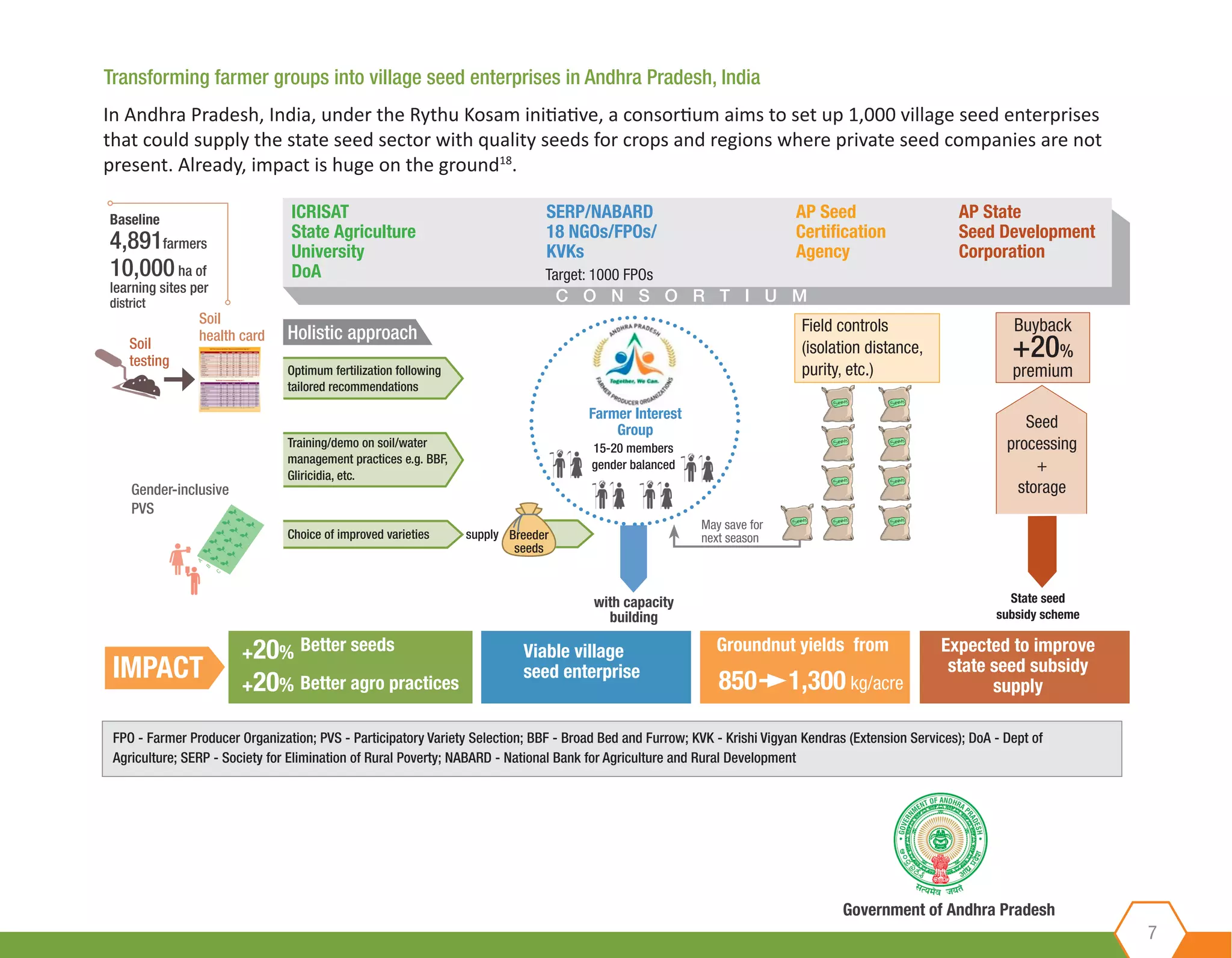 Transforming farmer groups into village seed enterprises in Andhra Pradesh, India
7
In Andhra Pradesh, India, under the Rythu Kosam initiative, a consortium aims to set up 1,000 village seed enterprises
that could supply the state seed sector with quality seeds for crops and regions where private seed companies are not
present. Already, impact is huge on the ground18
.
Baseline ICRISAT
State Agriculture
University
DoA
SERP/NABARD
18 NGOs/FPOs/
KVKs
AP Seed
Certification
Agency
AP State
Seed Development
Corporation
10,000ha of
learning sites per
district
4,891farmers
Target: 1000 FPOs
C O N S O R T I U M
Holistic approach
Optimum fertilization following
tailored recommendations
Soil
health card
15-20 members
gender balanced
Choice of improved varieties supply
Training/demo on soil/water
management practices e.g. BBF,
Gliricidia, etc.
Buyback
+20%
premium
Field controls
(isolation distance,
purity, etc.)
Farmer Interest
Group Seed
processing
+
storage
State seed
subsidy scheme
Breeder
seeds
May save for
next season
with capacity
building
IMPACT
Expected to improve
state seed subsidy
supply
Groundnut yields fromViable village
seed enterprise
+20%
+20%
Better seeds
Better agro practices 1,300 kg/acre850
FPO - Farmer Producer Organization; PVS - Participatory Variety Selection; BBF - Broad Bed and Furrow; KVK - Krishi Vigyan Kendras (Extension Services); DoA - Dept of
Agriculture; SERP - Society for Elimination of Rural Poverty; NABARD - National Bank for Agriculture and Rural Development
Soil
testing
Gender-inclusive
PVS
A
B
C
Government of Andhra Pradesh
 