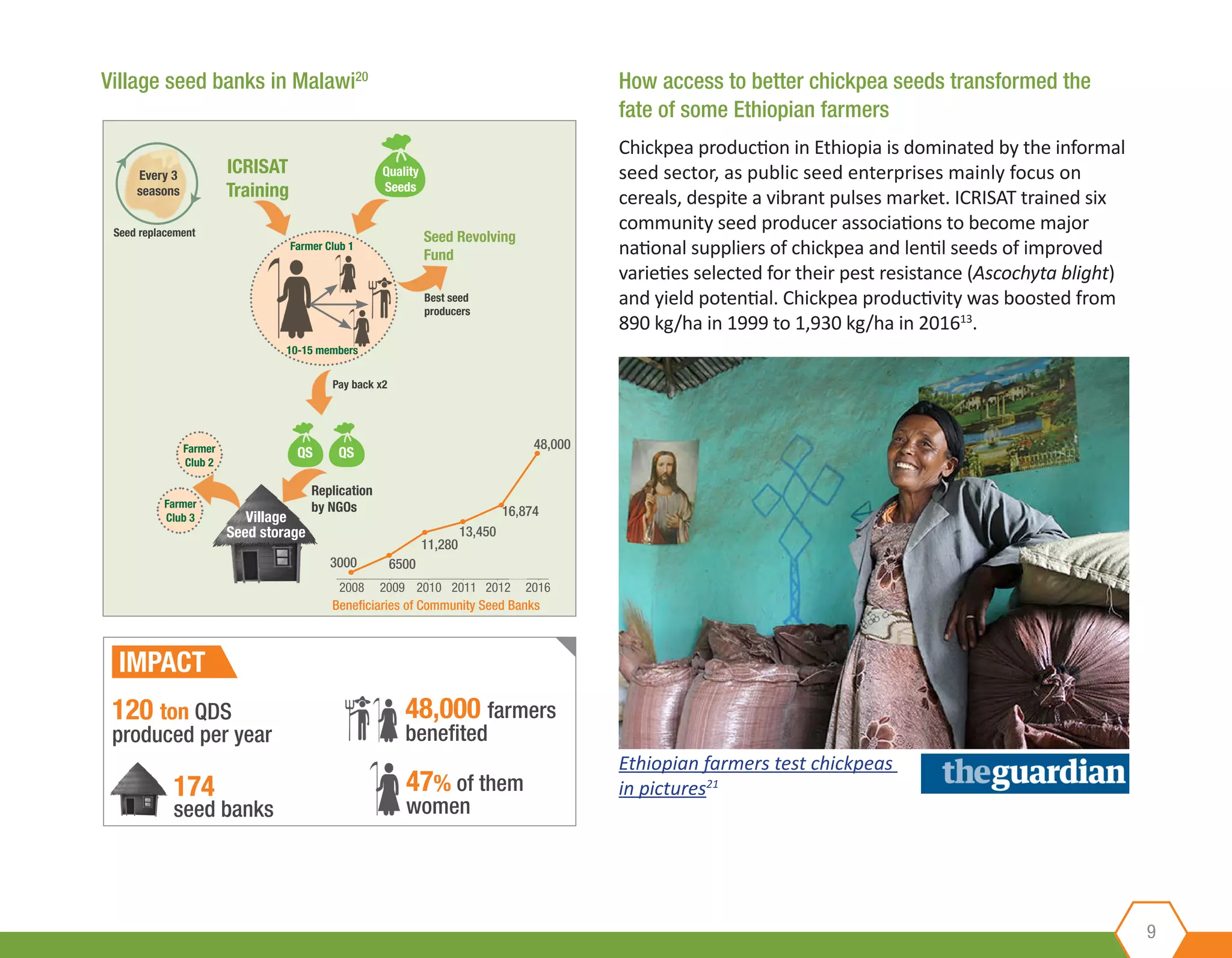 Seed Revolving
Fund
9
How access to better chickpea seeds transformed the
fate of some Ethiopian farmers
Chickpea production in Ethiopia is dominated by the informal
seed sector, as public seed enterprises mainly focus on
cereals, despite a vibrant pulses market. ICRISAT trained six
community seed producer associations to become major
national suppliers of chickpea and lentil seeds of improved
varieties selected for their pest resistance (Ascochyta blight)
and yield potential. Chickpea productivity was boosted from
890 kg/ha in 1999 to 1,930 kg/ha in 201613
.
ICRISAT
Training
Quality
Seeds
Farmer Club 1
10-15 members
Pay back x2
Best seed
producers
Seed replacement
QS QS
Village
Seed storage
Replication
by NGOs
174
seed banks
120 ton QDS
produced per year
48,000 farmers
benefited
Farmer
Club 2
Farmer
Club 3
3000
2008 2009 2010 2011 2012 2016
6500
11,280
13,450
16,874
48,000
Beneficiaries of Community Seed Banks
47% of them
women
IMPACT
Every 3
seasons
Village seed banks in Malawi20
Ethiopian farmers test chickpeas
in pictures21
 