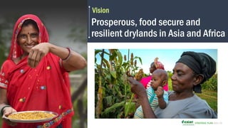 Icrisat strategic  plan 2021  2025