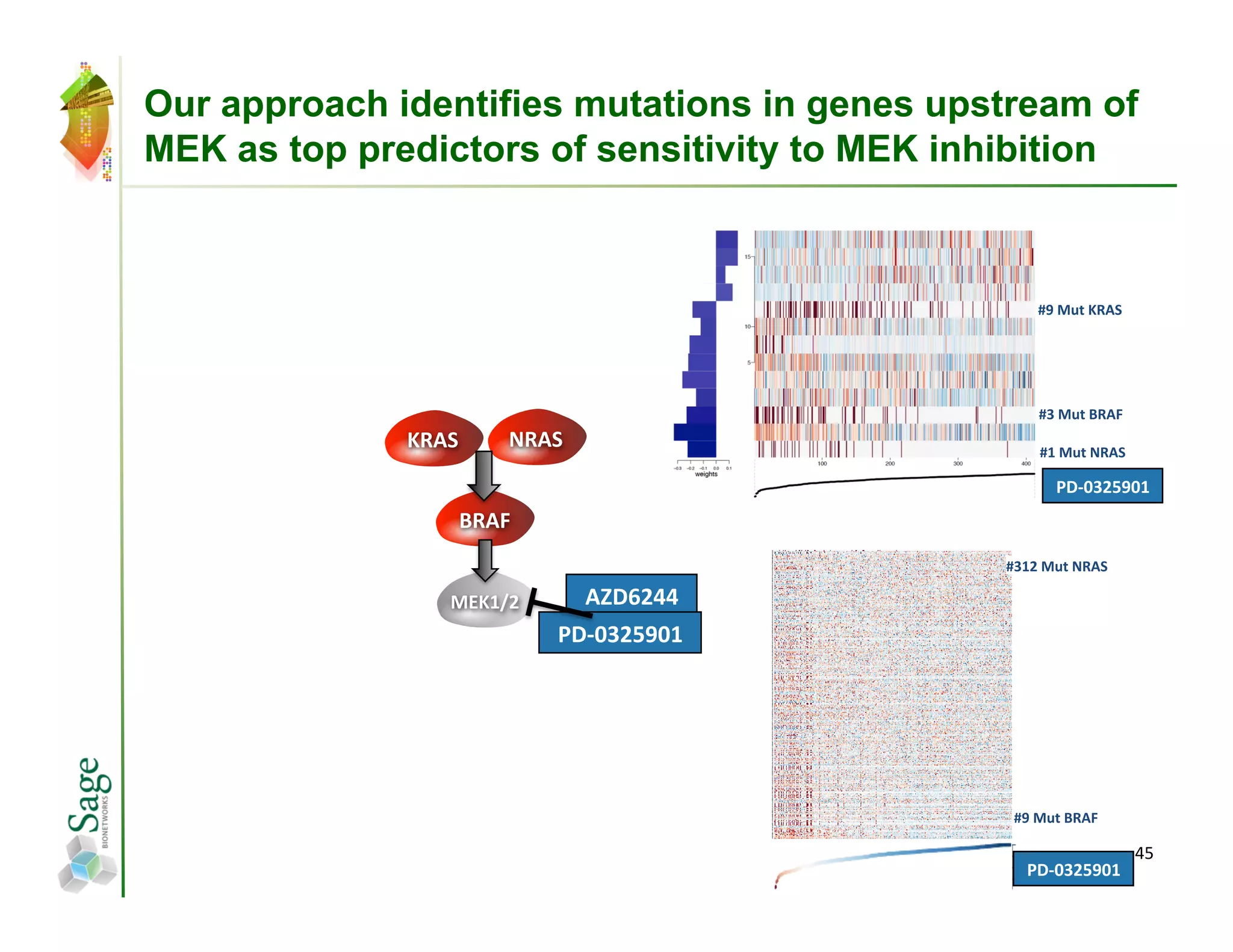 Our approach identifies mutations in genes upstream of
MEK as top predictors of sensitivity to MEK inhibition



                                                    #9	
  Mut	
  KRAS	
  




                                                     #3	
  Mut	
  BRAF	
  
              !"#$%   &"#$%                          #1	
  Mut	
  NRAS	
  

                                                         PD-­‐0325901	
  
                  '"#(%
                                              #312	
  Mut	
  NRAS	
  

                 )*!+,-%      #./0-11%
                           2/345-674+%




                                               #9	
  Mut	
  BRAF	
  

                                                                             45	
  
                                                  PD-­‐0325901	
  
 