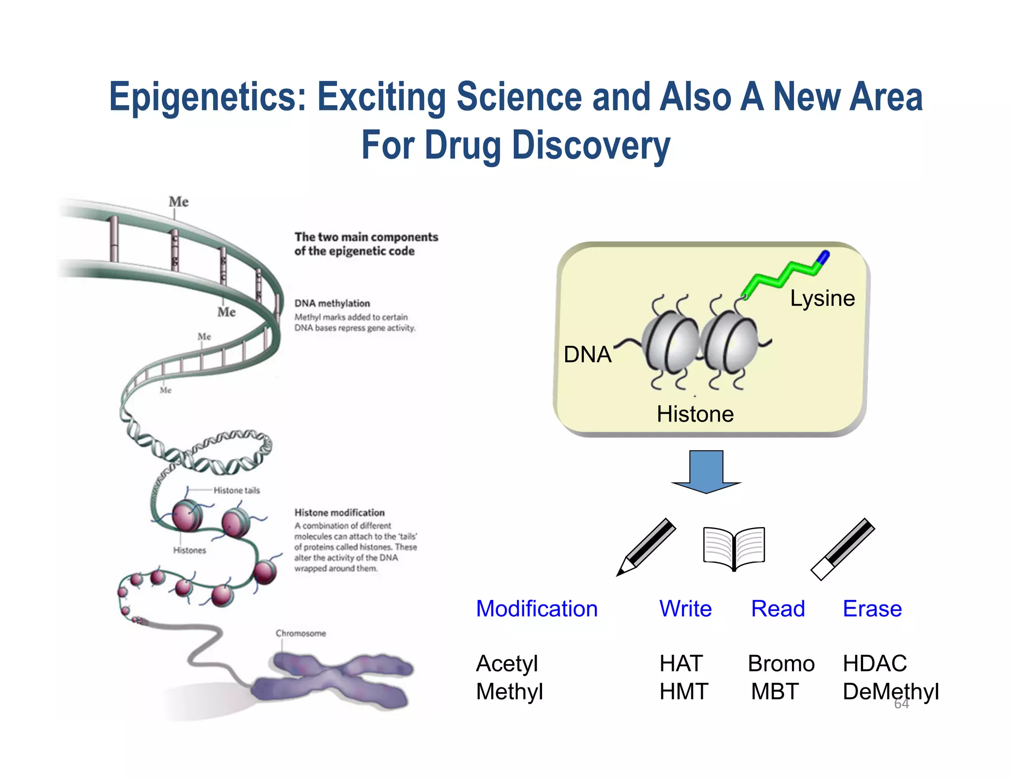 Epigenetics: Exciting Science and Also A New Area
               For Drug Discovery


                                                  Lysine

                               DNA

                                     Histone




                      Modification   Write     Read    Erase

                      Acetyl         HAT       Bromo   HDAC
                      Methyl         HMT       MBT     DeMethyl
                                                          64	
  
 