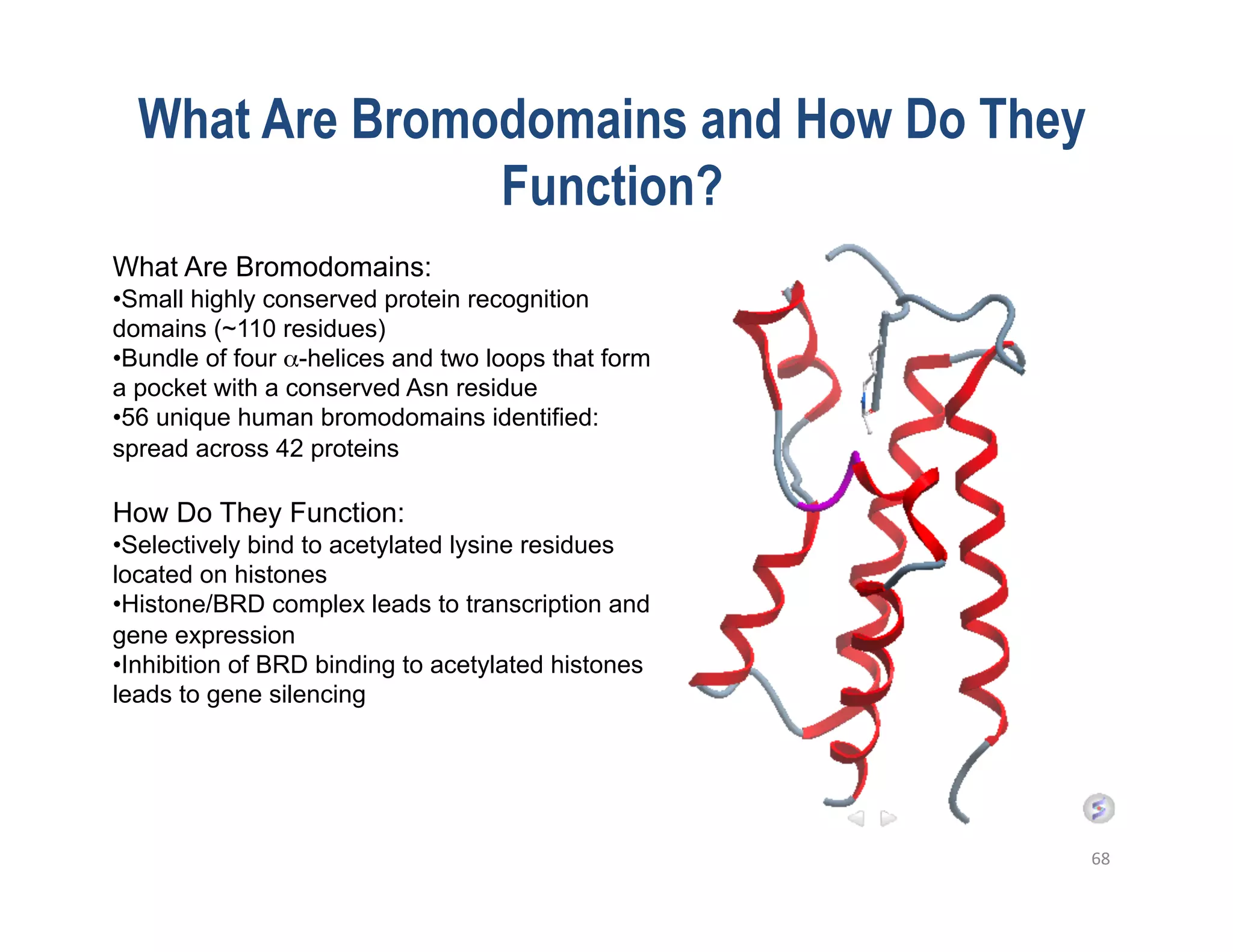 What Are Bromodomains and How Do They
                Function?
What Are Bromodomains:
• Small highly conserved protein recognition
domains (~110 residues)
• Bundle of four α-helices and two loops that form
a pocket with a conserved Asn residue
• 56 unique human bromodomains identified:
spread across 42 proteins

How Do They Function:
• Selectively bind to acetylated lysine residues
located on histones
• Histone/BRD complex leads to transcription and
gene expression
• Inhibition of BRD binding to acetylated histones
leads to gene silencing




                                                     68	
  
 
