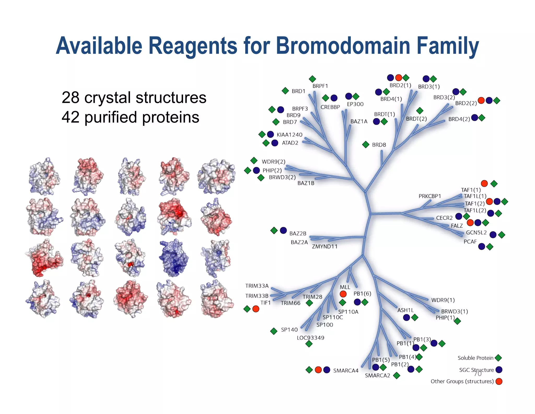 Available Reagents for Bromodomain Family

28 crystal structures
42 purified proteins




                                        70	
  
 