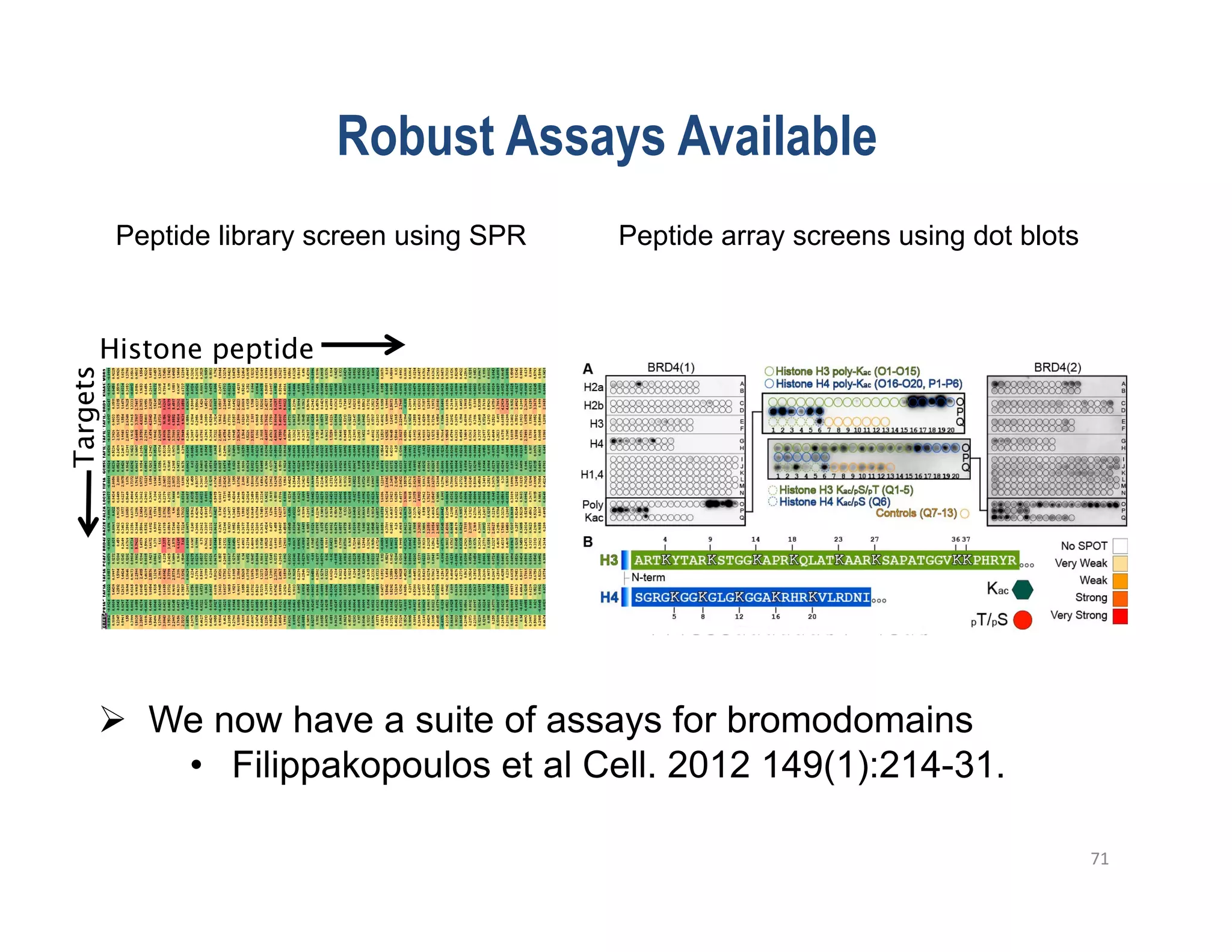 Robust Assays Available
          Peptide library screen using SPR   Peptide array screens using dot blots



     Histone peptide
Targets




       We now have a suite of assays for bromodomains
         •  Filippakopoulos et al Cell. 2012 149(1):214-31.

                                                                                     71	
  
 
