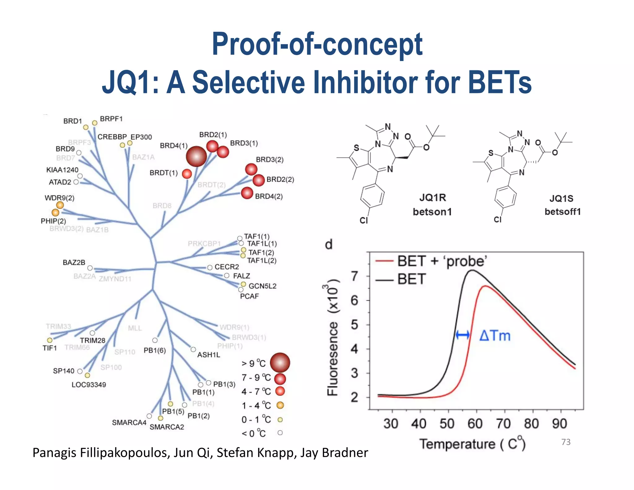 Proof-of-concept
                JQ1: A Selective Inhibitor for BETs




                                                                                  73	
  
Panagis	
  Fillipakopoulos,	
  Jun	
  Qi,	
  Stefan	
  Knapp,	
  Jay	
  Bradner
 