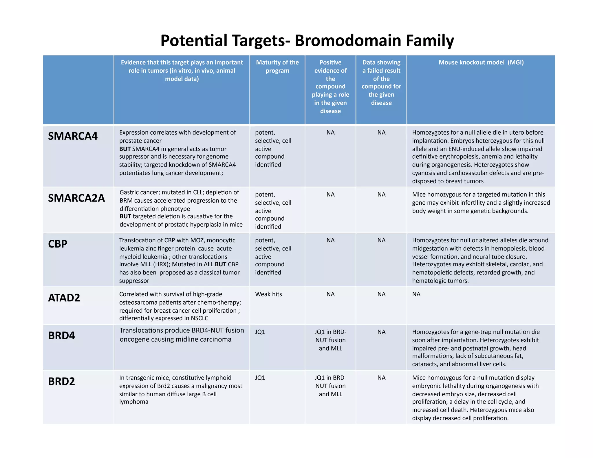 Poten;al	
  Targets-­‐	
  Bromodomain	
  Family	
  	
  
                Evidence	
  that	
  this	
  target	
  plays	
  an	
  important	
          Maturity	
  of	
  the	
        Posi;ve	
               Data	
  showing	
                          Mouse	
  knockout	
  model	
  	
  (MGI)	
  
                   role	
  in	
  tumors	
  (in	
  vitro,	
  in	
  vivo,	
  animal	
         program	
                  evidence	
  of	
          a	
  failed	
  result	
  
                                      model	
  data)	
                                                                         the	
                     of	
  the	
  
                                                                                                                        compound	
               compound	
  for	
  
                                                                                                                      playing	
  a	
  role	
           the	
  given	
  
                                                                                                                       in	
  the	
  given	
             disease	
  
                                                                                                                           disease	
  


               Expression	
  correlates	
  with	
  development	
  of	
                    potent,	
                           NA	
                        NA	
               Homozygotes	
  for	
  a	
  null	
  allele	
  die	
  in	
  utero	
  before	
  
SMARCA4	
      prostate	
  cancer	
  	
                                                   selecFve,	
  cell	
                                                                implantaFon.	
  Embryos	
  heterozygous	
  for	
  this	
  null	
  
               BUT	
  SMARCA4	
  in	
  general	
  acts	
  as	
  tumor	
                   acFve	
                                                                            allele	
  and	
  an	
  ENU-­‐induced	
  allele	
  show	
  impaired	
  
               suppressor	
  and	
  is	
  necessary	
  for	
  genome	
                    compound	
                                                                         deﬁniFve	
  erythropoiesis,	
  anemia	
  and	
  lethality	
  
               stability;	
  targeted	
  knockdown	
  of	
  SMARCA4	
                     idenFﬁed	
                                                                         during	
  organogenesis.	
  Heterozygotes	
  show	
  
               potenFates	
  lung	
  cancer	
  development;	
  	
                                                                                                            cyanosis	
  and	
  cardiovascular	
  defects	
  and	
  are	
  pre-­‐
                                                                                                                                                                             disposed	
  to	
  breast	
  tumors	
  
               Gastric	
  cancer;	
  mutated	
  in	
  CLL;	
  depleFon	
  of	
            potent,	
                           NA	
                        NA	
               Mice	
  homozygous	
  for	
  a	
  targeted	
  mutaFon	
  in	
  this	
  
SMARCA2A	
     BRM	
  causes	
  accelerated	
  progression	
  to	
  the	
                 selecFve,	
  cell	
                                                                gene	
  may	
  exhibit	
  inferFlity	
  and	
  a	
  slightly	
  increased	
  
               diﬀerenFaFon	
  phenotype	
                                                acFve	
                                                                            body	
  weight	
  in	
  some	
  geneFc	
  backgrounds.	
  
               BUT	
  targeted	
  deleFon	
  is	
  causaFve	
  for	
  the	
               compound	
  
               development	
  of	
  prostaFc	
  hyperplasia	
  in	
  mice	
               idenFﬁed	
  

               TranslocaFon	
  of	
  CBP	
  with	
  MOZ,	
  monocyFc	
                    potent,	
                           NA	
                        NA	
               Homozygotes	
  for	
  null	
  or	
  altered	
  alleles	
  die	
  around	
  
CBP	
          leukemia	
  zinc	
  ﬁnger	
  protein	
  	
  cause	
  	
  acute	
           selecFve,	
  cell	
                                                                midgestaFon	
  with	
  defects	
  in	
  hemopoiesis,	
  blood	
  
               myeloid	
  leukemia	
  ;	
  other	
  translocaFons	
                       acFve	
                                                                            vessel	
  formaFon,	
  and	
  neural	
  tube	
  closure.	
  
               involve	
  MLL	
  (HRX);	
  Mutated	
  in	
  ALL	
  BUT	
  CBP	
           compound	
                                                                         Heterozygotes	
  may	
  exhibit	
  skeletal,	
  cardiac,	
  and	
  
               has	
  also	
  been	
  	
  proposed	
  as	
  a	
  classical	
  tumor	
     idenFﬁed	
                                                                         hematopoieFc	
  defects,	
  retarded	
  growth,	
  and	
  
               suppressor	
  	
                                                                                                                                              hematologic	
  tumors.	
  

               Correlated	
  with	
  survival	
  of	
  high-­‐grade	
                     Weak	
  hits	
                      NA	
                        NA	
               NA	
  
ATAD2	
        osteosarcoma	
  paFents	
  a{er	
  chemo-­‐therapy;	
  
               required	
  for	
  breast	
  cancer	
  cell	
  proliferaFon	
  ;	
  
               diﬀerenFally	
  expressed	
  in	
  NSCLC	
  	
  
               TranslocaFons	
  produce	
  BRD4-­‐NUT	
  fusion	
                         JQ1	
                        JQ1	
  in	
  BRD-­‐                NA	
               Homozygotes	
  for	
  a	
  gene-­‐trap	
  null	
  mutaFon	
  die	
  
BRD4	
         oncogene	
  causing	
  midline	
  carcinoma	
                                                           NUT	
  fusion	
                                       soon	
  a{er	
  implantaFon.	
  Heterozygotes	
  exhibit	
  
                                                                                                                        and	
  MLL	
                                         impaired	
  pre-­‐	
  and	
  postnatal	
  growth,	
  head	
  
                                                                                                                                                                             malformaFons,	
  lack	
  of	
  subcutaneous	
  fat,	
  
                                                                                                                                                                             cataracts,	
  and	
  abnormal	
  liver	
  cells.	
  	
  	
  

               In	
  transgenic	
  mice,	
  consFtuFve	
  lymphoid	
                      JQ1	
                        JQ1	
  in	
  BRD-­‐                NA	
               Mice	
  homozygous	
  for	
  a	
  null	
  mutaFon	
  display	
  
BRD2	
         expression	
  of	
  Brd2	
  causes	
  a	
  malignancy	
  most	
                                         NUT	
  fusion	
                                       embryonic	
  lethality	
  during	
  organogenesis	
  with	
  
               similar	
  to	
  human	
  diﬀuse	
  large	
  B	
  cell	
                                                 and	
  MLL	
                                         decreased	
  embryo	
  size,	
  decreased	
  cell	
  
               lymphoma	
                                                                                                                                                    proliferaFon,	
  a	
  delay	
  in	
  the	
  cell	
  cycle,	
  and	
  
                                                                                                                                                                             increased	
  cell	
  death.	
  Heterozygous	
  mice	
  also	
  
                                                                                                                                                                             display	
  decreased	
  cell	
  proliferaFon.	
  
 