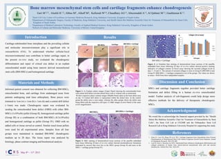 Bone marrow mesenchymal stem cells and cartilage fragments enhance chondrogenesis
Gari M1,2,3, Alsehli H 1,2, Abbas M2 , Alkaff M2, Kafienah W2,4, Chaudhary AG1,3, Abuzenadah A1,3, Al Qahtani M1,3, Gauthaman K1,2.
	
  1Stem Cell Unit, Centre of Excellence in Genomic Medicine Research, King Abdulaziz University, Kingdom of Saudi Arabia
2Department of Orthopaedic Surgery, Faculty of Medicine, King Abdulaziz University, and Sheikh Salem Bin Mahfouz Scientific Chair for Treatment of Osteoarthritis by Stem Cells,
Kingdom of Saudi Arabia
3Department of Medical Laboratory Technology, Faculty of Applied Medical Sciences, King Abdulaziz University, Kingdom of Saudi Arabia
4School of Cellular and Molecular Medicine, University of Bristol, United Kingdom
Introduction
Cartilage-subchondral bone interphase and the prevailing cellular
and molecular microenvironment play a significant role in
osteoarthritis (OA). To understand whether cellular/local
microenvironmental cues contribute to better cartilage repair, in
the present ex-vivo study, we evaluated the chondrogenic
differentiation and repair of critical size defect in an explant
osteochondral model using bone marrow derived mesenchymal
stem cells (BM-MSCs) and homogenised cartilage.
Informed patient consent was obtained for collecting BM-MSCs,
osteochondral bone, and cartilage from undamaged areas from
patients undergoing total knee arthroplasty. Bone pieces were
trimmed to 1cm (w) x 1cm (b) x 1cm (h) and a central drill defect
(~1mm) was made. Chondrogenic repair was evaluated by
seeding the osteochondral bone defect (OBD) with either BM-
MSCs (1x106cells) pellet (Group II), homogenized cartilage pellet
(Group III) or a combination of both BM-MSCs (0.5x106cells)
and homogenized cartilage as pellet (Group IV). OBD with no
added cells or tissue served as control. Similar sized tissue pellets
were used for all experimental arms. Samples from all four
groups were maintained in standard BM-MSC chondrogenic
medium up to 28 days. The tissue repair was analyzed by
histology, phase contrast imaging and biochemical analysis.
Materials and Methods
References
1.  Chen CC, Liao CH, Wang YH et al. 2011. Cartilage Fragments from Osteoarthritic Knee Promote
Chondrogenesis of Mesenchymal Stem Cells without Exogenous Growth Factor Induction. Journal
of Orthopaedic Research, 30(3):393-400.
2.  Leyh M, Seitz A, Durselen et al 2014. Subchondral bone influences chondrogenic differentiation and
collagen production of human bone marrow-derived mesenchymal stem cells and articular
chondrocytes. Arthritis Res Ther. 16(5):453.
Figure 1: A) Explant culture images (Upper Panel) showing the osetochondral bone
with central drill defect (circular dotted lines) with or without cells as mentioned;
B) their respective phase contrast images (Middle Panel) taken at the bone defect area
on day 14 Central drill defect is represented within the dotted lines. In the control
group the defect area is seen empty, whereas the other groups shows the defect area
being filled with the respective cell types; C) H&E images (Lower Panel) of the same
at low magnification.
Figure 2: H&E staining of demineralized tissue sections of the paraffin embedded
bone tissue following 28 days of ex-vivo culture showed neochondrocyte formations
(indicated by arrows) that were less in the MSCs group (Group II) and more in the
MSCs + cartilage group (Group IV).
Figure 3: a) Toluidine blue staining of demineralized tissue sections of the paraffin
embedded bone tissue following 28 days of ex-vivo culture showed positive staining
indicative of collagen content; b) Sircol assay showing the secreted collagen levels at
days 7, 14 and 21. The amount of secreted collagen is more in Group II (BM-MSCs) and
Group IV (BM-MSCs + Cartilage) compared to rest of the groups. The values are shown
as mean ± SEM from three independent samples.
a	
  
We would like to acknowledge the financial support provided by the “Sheikh
Salem Bin Mahfouz Scientific Chair for Treatment of Osteoarthritis by Stem
Cells”; the Stem Cell Lab at CEGMR and the Orthopedics Stem Cell
Research Lab at King Abdulaziz University Hospital for supporting this study.
Acknowledgment
MSCs and cartilage fragments together provided better cartilage
formation and defect filling in a human ex-vivo osteochondral
model. Further analysis of sub-fragments could help design more
effective methods for the delivery of therapeutic chondrogenic
MSCs.
Discussion and Conclusion
Results
May 8th – 11th, 2015
 