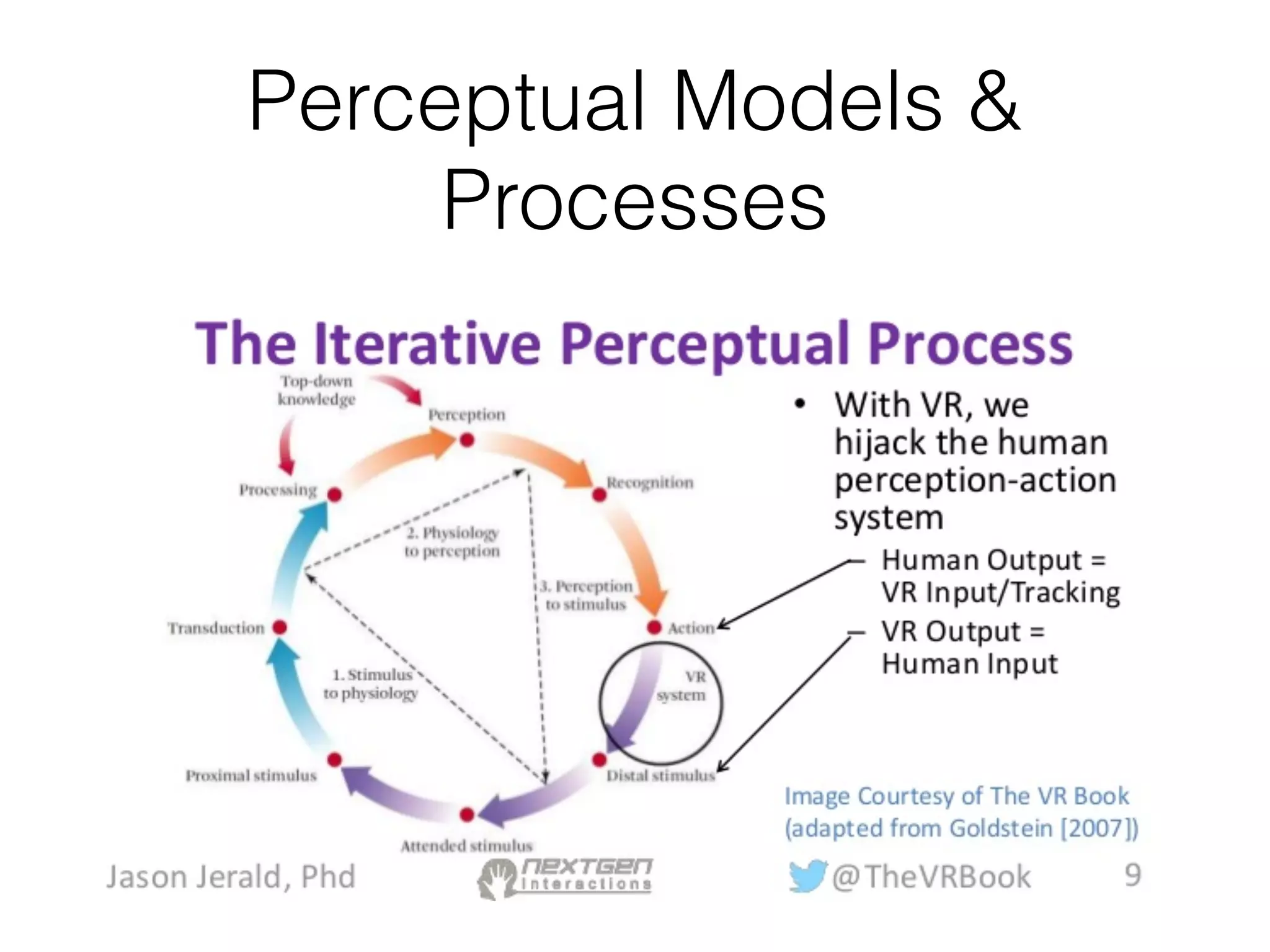 Perceptual Models &
Processes
 