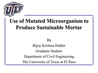 Use of Mutated Microorganism to
Produce Sustainable Mortar
By
Bijoy Krishna Halder
Graduate Student
Department of Civil Engineering
The University of Texas at El Paso

 
