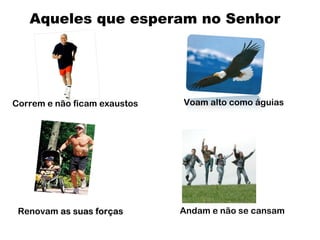 Renovam as suas forçasas suas forças
Aqueles que esperam no Senhor
Voam alto como águiasCorrem e não ficam exaustos
Andam e não se cansam
 