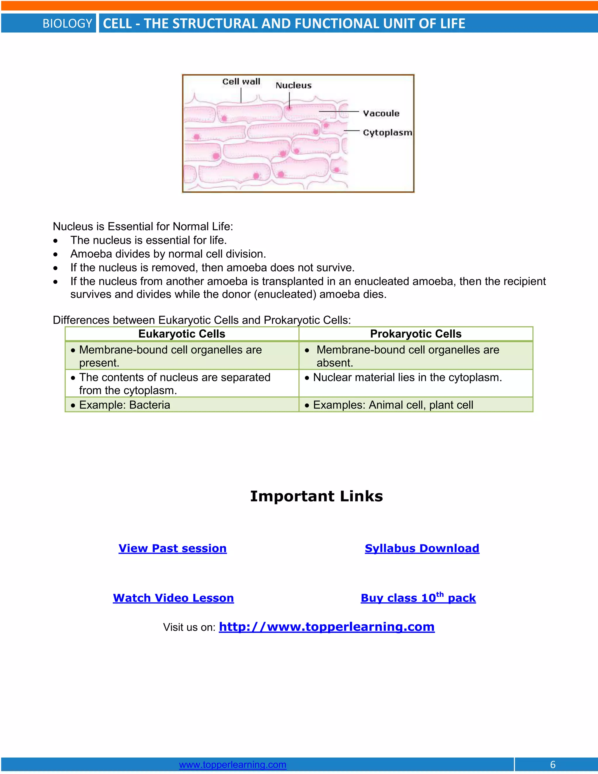 BIOLOGY CELL - THE STRUCTURAL AND FUNCTIONAL UNIT OF LIFE
www.topperlearning.com 6
Nucleus is Essential for Normal Life:
 The nucleus is essential for life.
 Amoeba divides by normal cell division.
 If the nucleus is removed, then amoeba does not survive.
 If the nucleus from another amoeba is transplanted in an enucleated amoeba, then the recipient
survives and divides while the donor (enucleated) amoeba dies.
Differences between Eukaryotic Cells and Prokaryotic Cells:
Eukaryotic Cells Prokaryotic Cells
 Membrane-bound cell organelles are
present.
 Membrane-bound cell organelles are
absent.
 The contents of nucleus are separated
from the cytoplasm.
 Nuclear material lies in the cytoplasm.
 Example: Bacteria  Examples: Animal cell, plant cell
Important Links
View Past session Syllabus Download
Watch Video Lesson Buy class 10th
pack
Visit us on: http://www.topperlearning.com
 