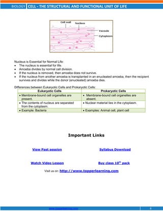 ICSE Class X Biology Cell The Structural and Functional Unit of Life | PDF