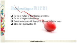 www.layyous.com
 The risk of multiple births and ectopic pregnancy.
 The risk of congenital abnormalities.
 There is an increased risk of genetic problem carried by the sperm.
 ICSI is more expensive than IVF.
 