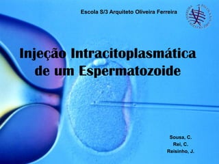Escola S/3 Arquiteto Oliveira Ferreira




Injeção Intracitoplasmática
   de um Espermatozoide



                                            Sousa, C.
                                             Rei, C.
                                           Reisinho, J.
 