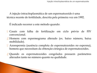 A injeção intracitoplasmática de um espermatozoide é uma
técnica recente de fertilidade, descrita pela primeira vez em 1992.
É indicado recorrer a este método quando:
♀ Casais com falha de fertilização em ciclo prévio de FIV
convencional.
♂ Homens com espermograma alterado (ex. baixo número, baixa
mobilidade).
♀ Azoospermia (ausência completa de espermatozoides no esperma),
homens que necessitam da obtenção cirúrgica de espermatozoides.
i
♂ Quando os espermatozoides congelados possuem parâmetros
alterados tanto no número quanto na qualidade.
Injeção intracitoplasmática de um espermatozoide
 