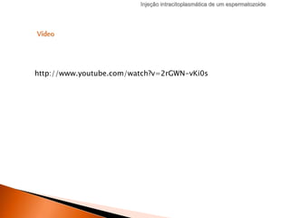Injeção intracitoplasmática de um espermatozoide
Vídeo
http://www.youtube.com/watch?v=2rGWN-vKi0s
 