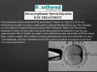 Intracytoplasmic Sperm Injection 
ICSI TREATMENT 
Intracytoplasmic sperm injection (ICSI, pronounced “eeksee” or “icksy”) is an in vitro 
fertilization procedure in which a single sperm is injected directly into an egg. The technique 
was developed by Gianpiero Palermo around 1991 in Brussels. Today it has become the 
treatment of choice for men with weak sperms that cannot travel themselves into the egg. 
Approximately 40% of fertility in couples can be attributed to male sub fertility. ICSI has raised 
hopes of these couples. This method of treating predominantly male-factor infertility has been 
a breakthrough, and it has established itself as the preferred method of treatment in the field 
of assisted reproduction. 
 