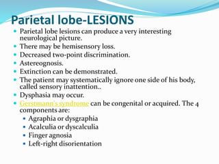 Parietal lobe-LESIONS
 Parietal lobe lesions can produce a very interesting
neurological picture.
 There may be hemisensory loss.
 Decreased two-point discrimination.
 Astereognosis.
 Extinction can be demonstrated.
 The patient may systematically ignore one side of his body,
called sensory inattention..
 Dysphasia may occur.
 Gerstmann's syndrome can be congenital or acquired. The 4
components are:
 Agraphia or dysgraphia
 Acalculia or dyscalculia
 Finger agnosia
 Left-right disorientation
 