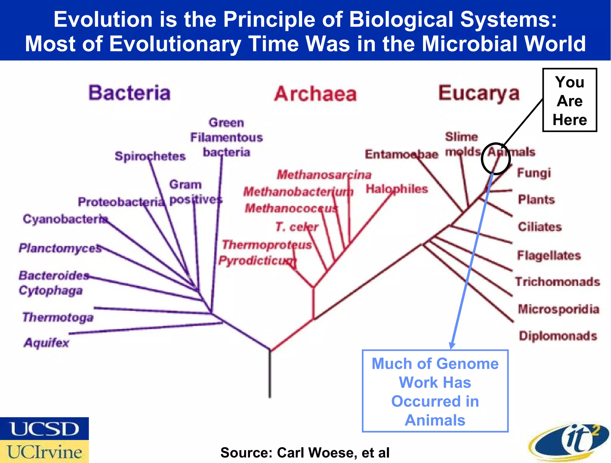 Evolution is the Principle of Biological Systems: Most of Evolutionary Time Was in the Microbial World Source: Carl Woese, et al You Are Here Much of Genome Work Has Occurred in Animals 