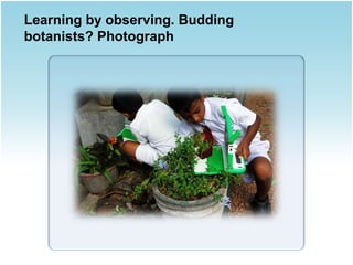 Learning by observing. Budding
botanists? Photograph

 