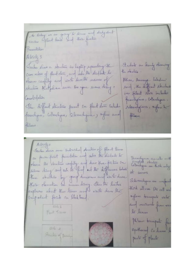 Ict Lesson Plan Docx