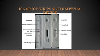 ICA OR ICT STRIPS ALSO KNOWN AS
DEVICE
 