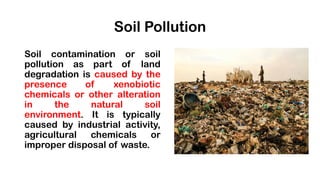 Soil Pollution
Soil contamination or soil
pollution as part of land
degradation is caused by the
presence of xenobiotic
chemicals or other alteration
in the natural soil
environment. It is typically
caused by industrial activity,
agricultural chemicals or
improper disposal of waste.
 